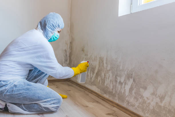 Best Commercial Mold Removal  in Ellisburg, NJ