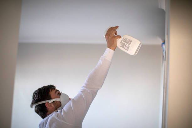 Best Attic Mold Removal  in Ellisburg, NJ