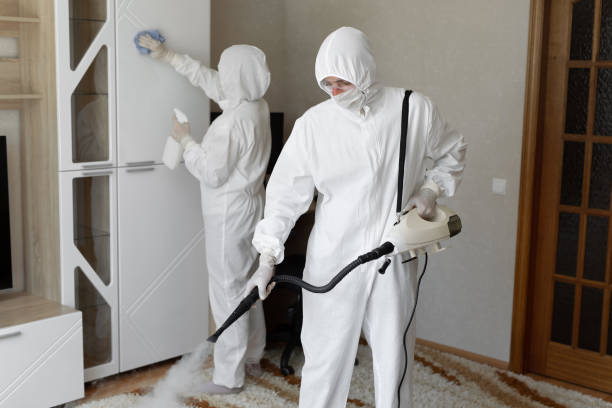 Best Mold Damage Repair  in Ellisburg, NJ