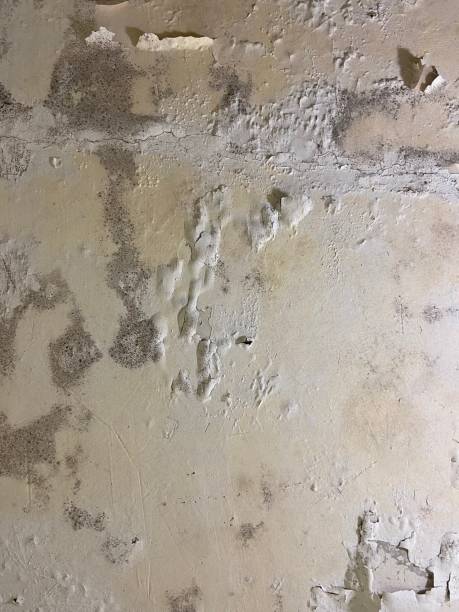 Best Water Damage Restoration  in Ellisburg, NJ