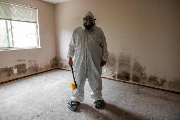 Best Toxic Mold Removal  in Ellisburg, NJ